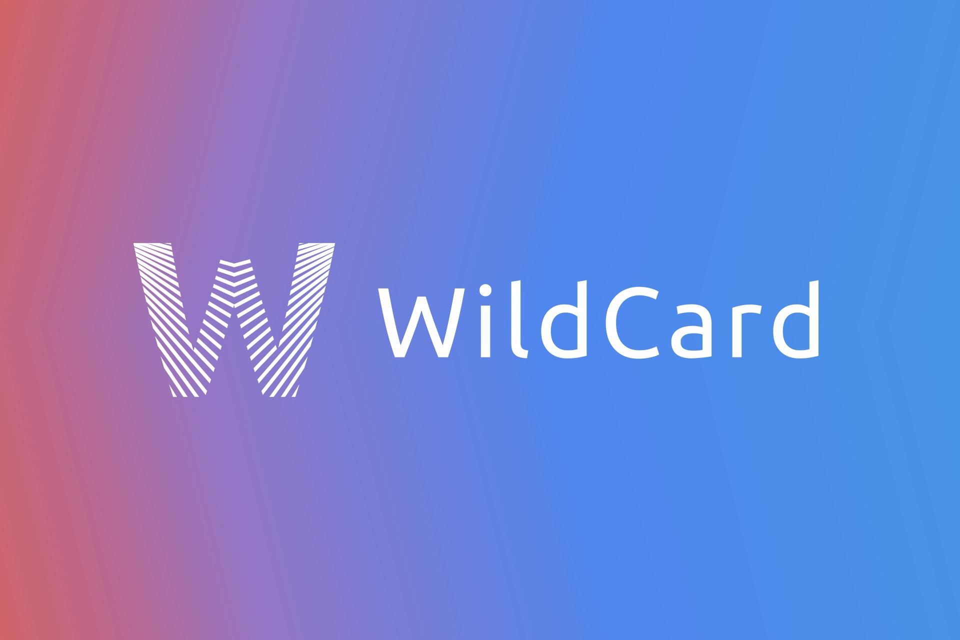 野卡 WildCard